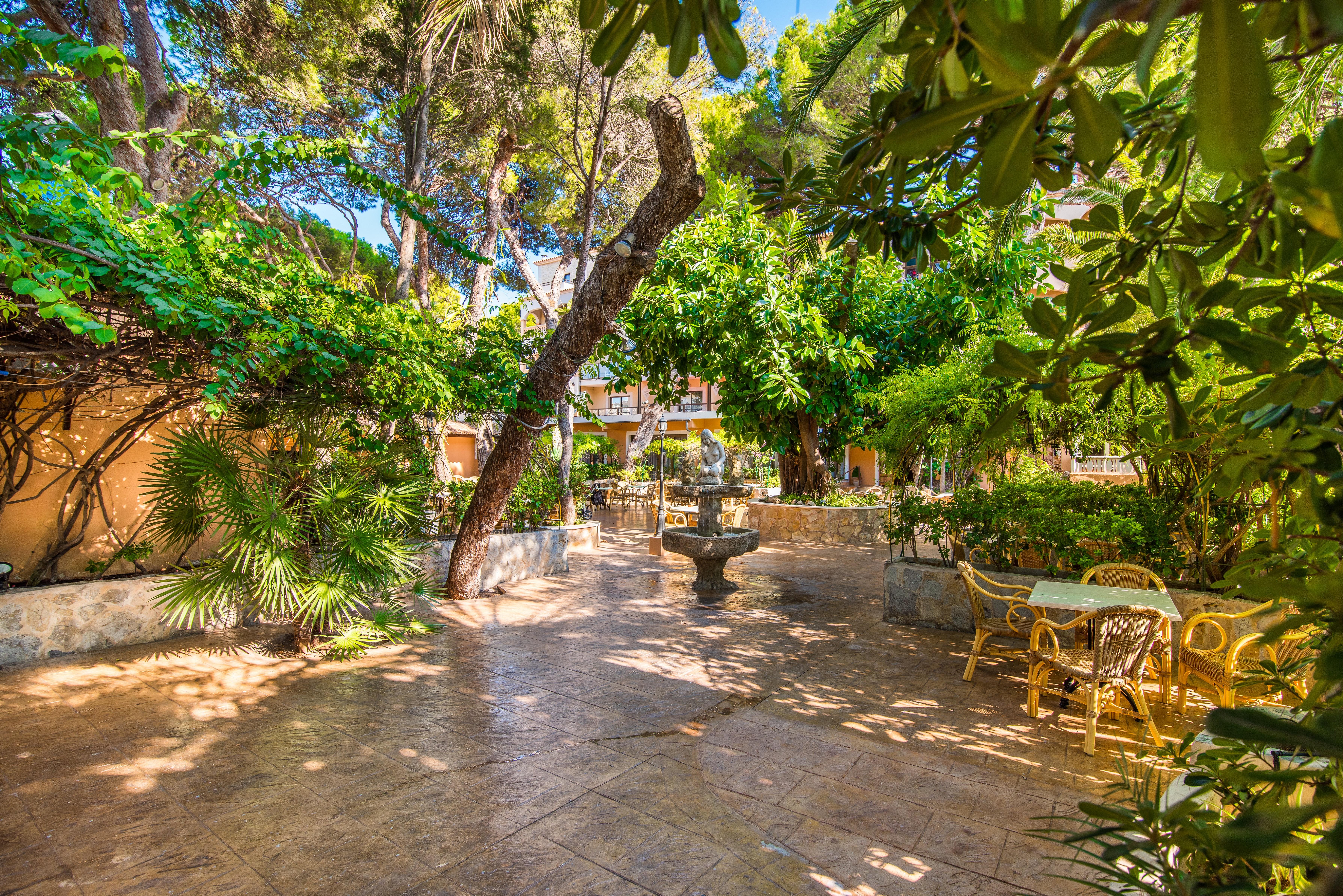 Hotel Baviera Cala Ratjada  Eksteriør bilde